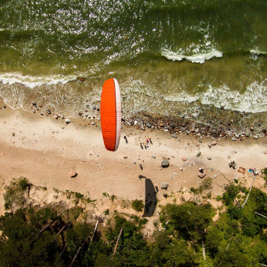 This Is How Birds See The World