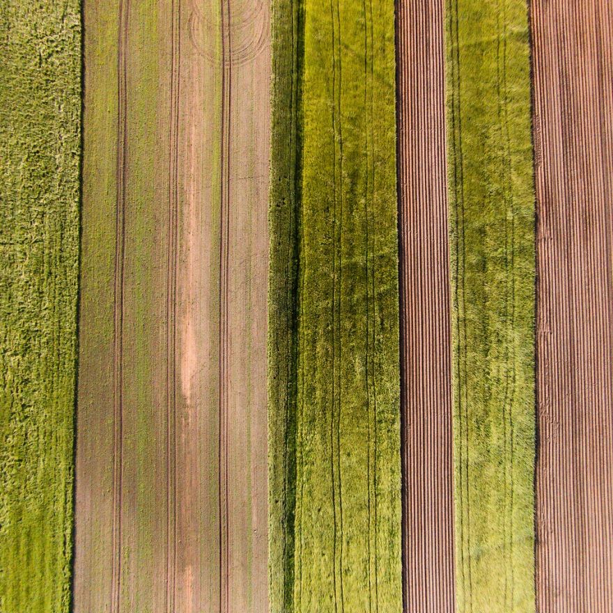 This Is How Birds See The World This Is How Birds See The World