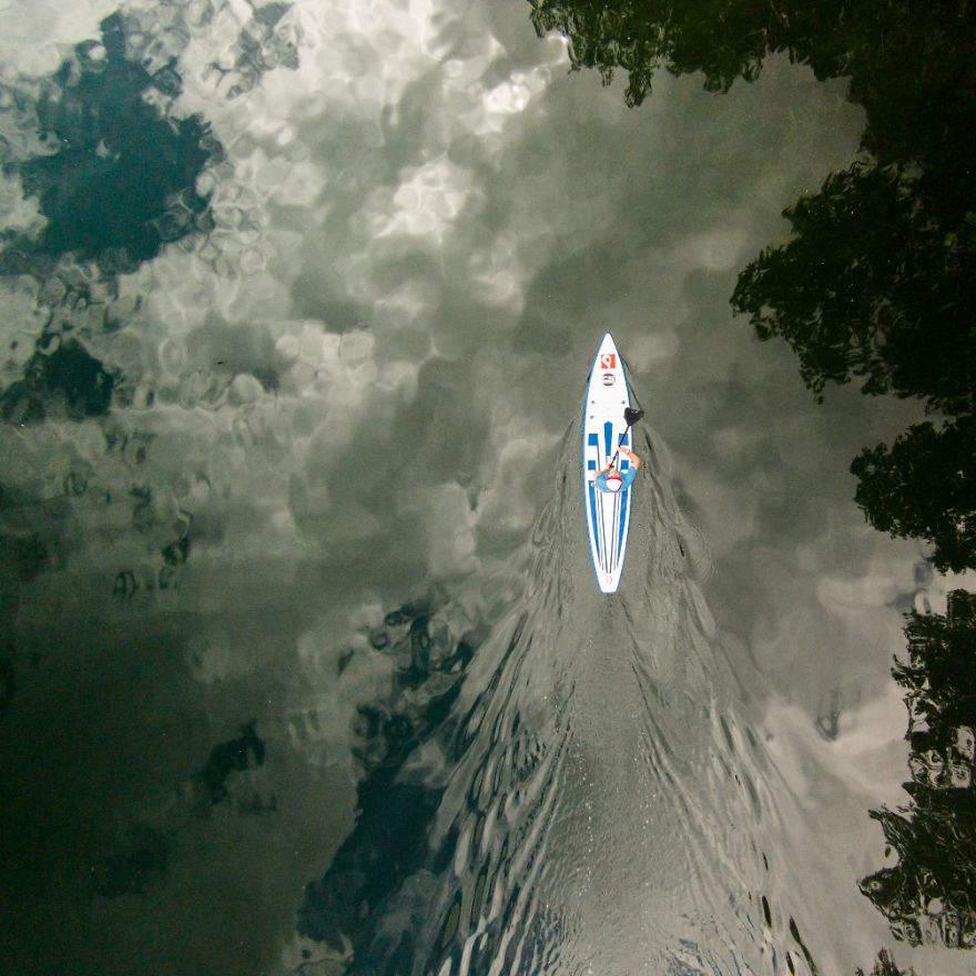 This Is How Birds See The World