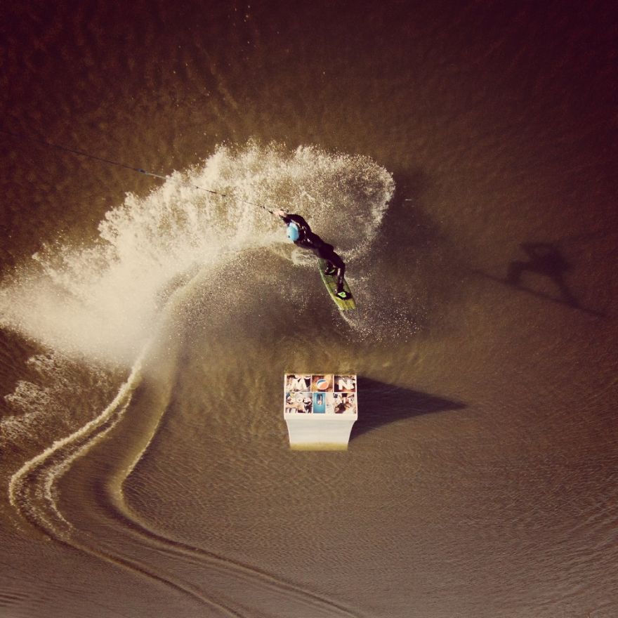 This Is How Birds See The World