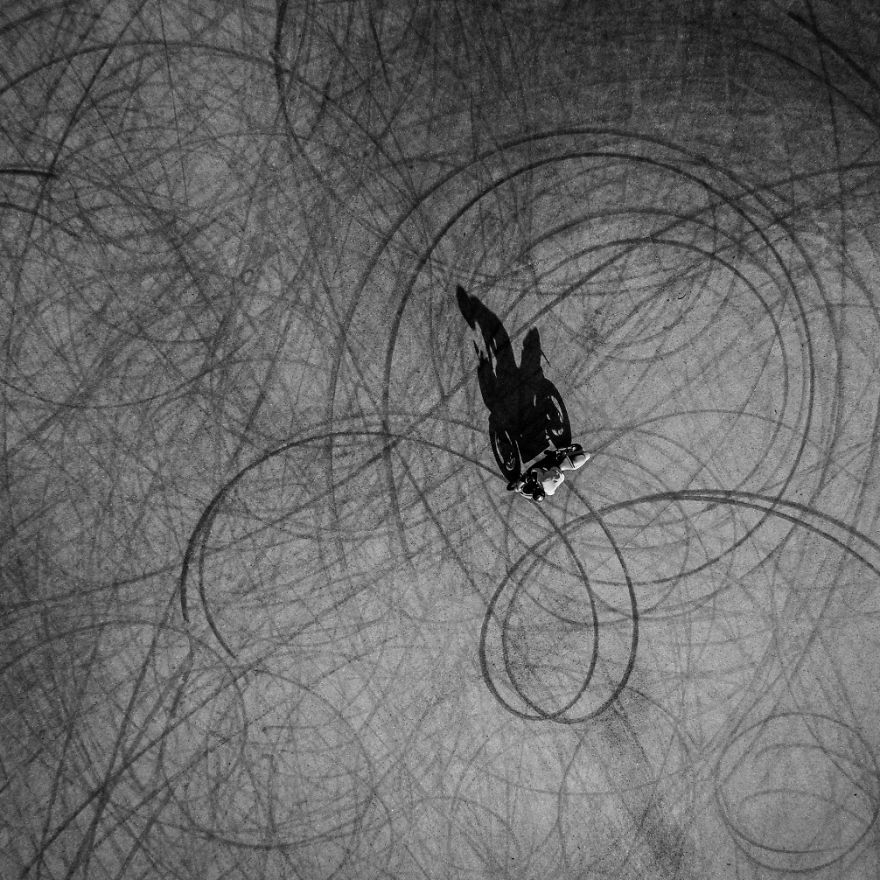 This Is How Birds See The World