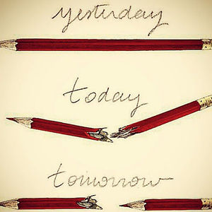 lynnthecatlady avatar