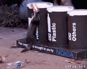 17 Moments When Trash Made Us Laugh (Cats And Otters Involved)