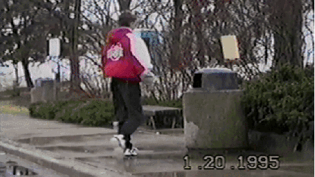 17 Moments When Trash Made Us Laugh (Cats And Otters Involved)