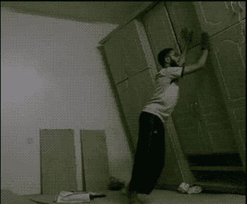 17 Moments When Trash Made Us Laugh (Cats And Otters Involved)