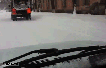 17 Moments When Trash Made Us Laugh (Cats And Otters Involved) 17 Moments When Trash Made Us Laugh (Cats And Otters Involved)