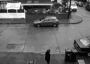 17 Moments When Trash Made Us Laugh (Cats And Otters Involved)