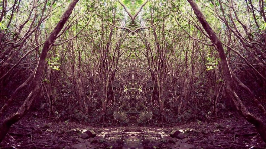 I Created These Kaleidoscopic Images Using My Crappy Phone I Created These Kaleidoscopic Images Using My Crappy Phone