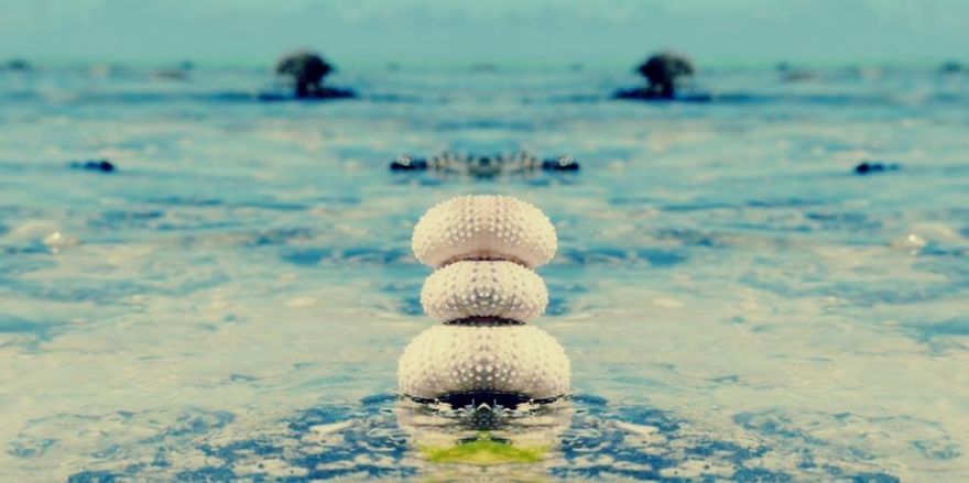 I Created These Kaleidoscopic Images Using My Crappy Phone