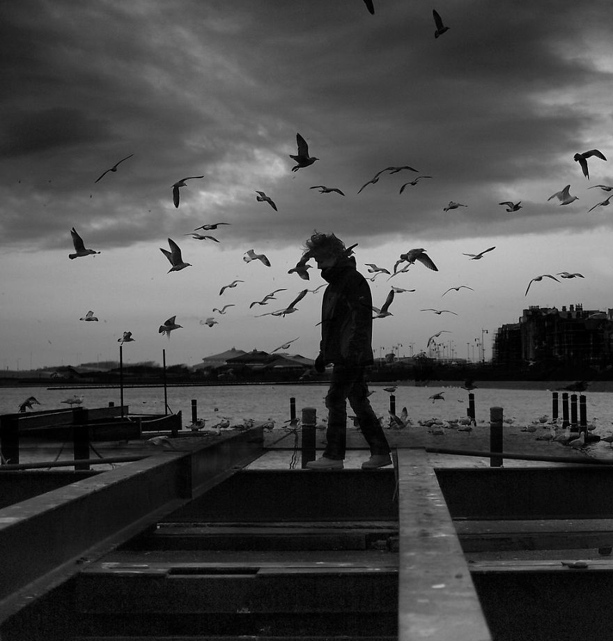 I Look For Art When I Go Birdwatching I Look For Art When I Go Birdwatching