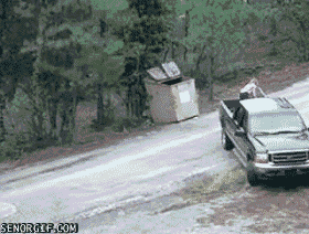 10 Heart-warming Gifs Of Humans Rescuing Animals That Will Restore Your Faith In Humanity