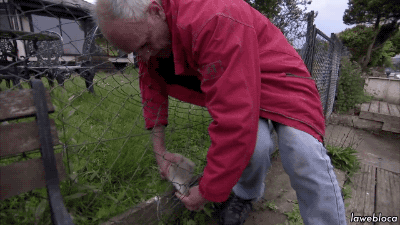 10 Heart-warming Gifs Of Humans Rescuing Animals That Will Restore Your Faith In Humanity