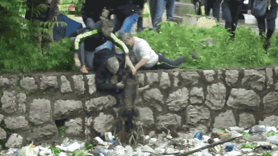 10 Heart-warming Gifs Of Humans Rescuing Animals That Will Restore Your Faith In Humanity