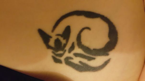 Simple line art cat tattoo design on skin.