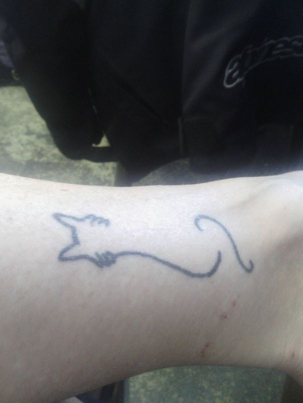 Simple line art cat tattoo on forearm, perfect for cat lovers seeking minimalist design.