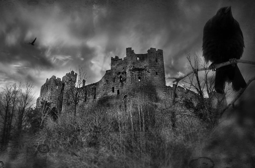 I Look For Art When I Go Birdwatching