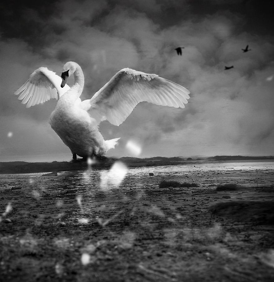 I Look For Art When I Go Birdwatching I Look For Art When I Go Birdwatching