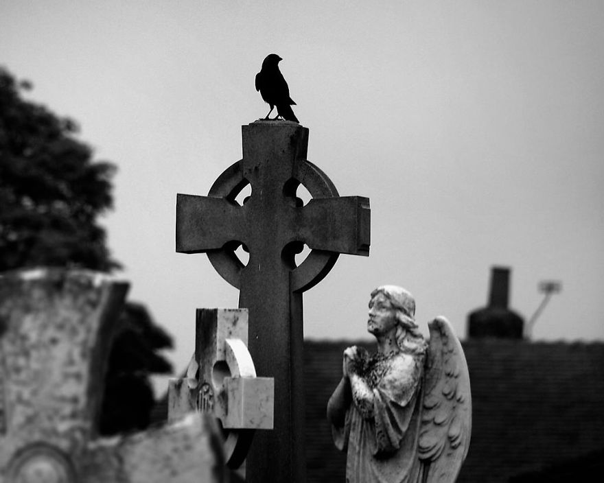 I Look For Art When I Go Birdwatching