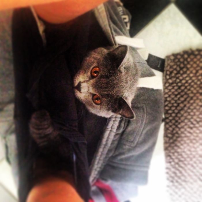 .... Omg... Whats That Hanging There!?