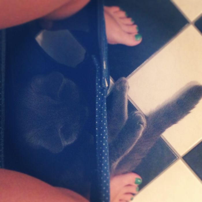 There Seems To Be A Little Hole In Your Pants