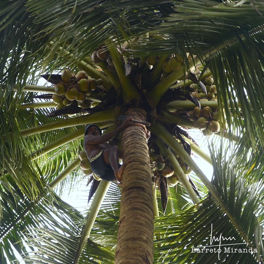 Traditional Goan Occupations Traditional Goan Occupations