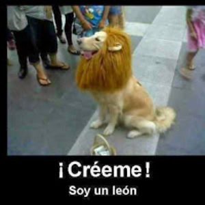 luisfelipecanchalamoreno avatar