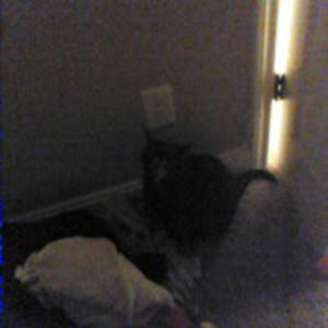 ithasgottostop avatar