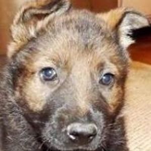 mariaalexander888 avatar