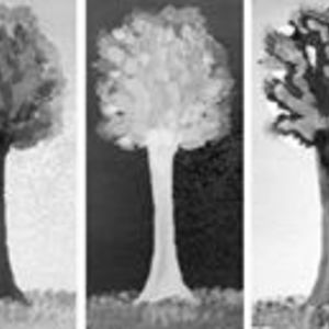 Tejashri_Joshi avatar