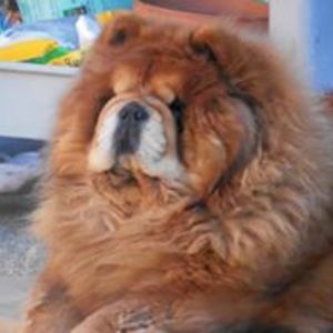 clastic2805_verizon_net avatar