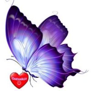 crazed_angel2 avatar