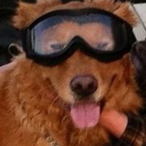 lindseyphillips83 avatar