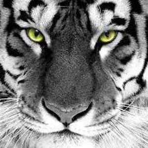 irvinealison19 avatar