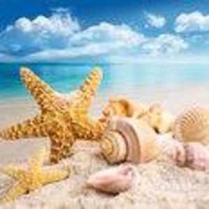 bdaviseyes2000 avatar