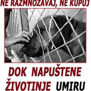 kittyneedsyourhelp avatar