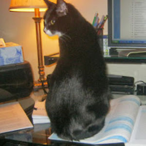 deeshannongarrison avatar