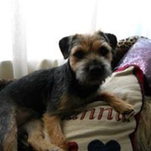 stephaniemadders avatar