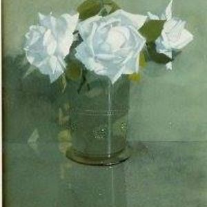 roos_vanwilligen avatar