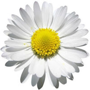 silviae_unykacastaeda avatar