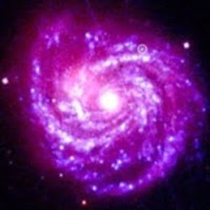 solarpurplestarlight avatar