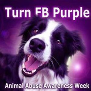 miraclechild1972 avatar