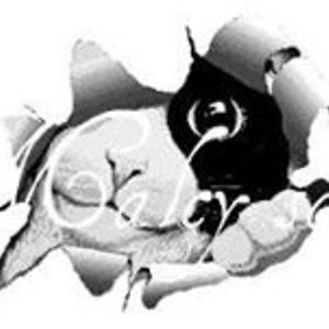 mcintoshdickson avatar