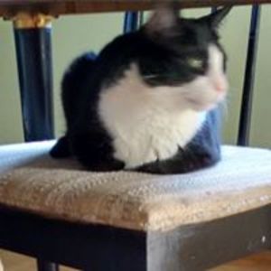 claudia_canada1234 avatar