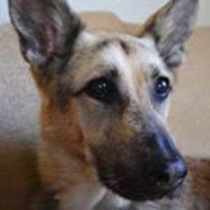 auroraperederic avatar