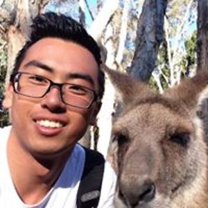 thomas_wamsteker avatar