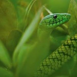 heatherdooley avatar