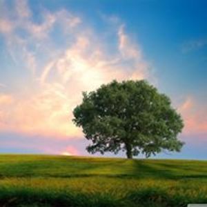 highness4spell avatar