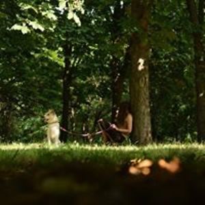 andra_oprescu avatar