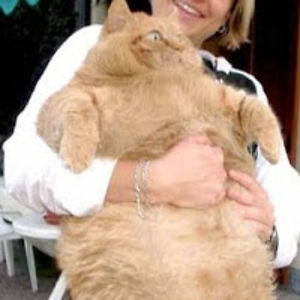 isabellegaldau avatar