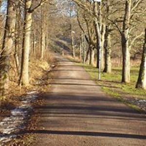 mattias_axner avatar